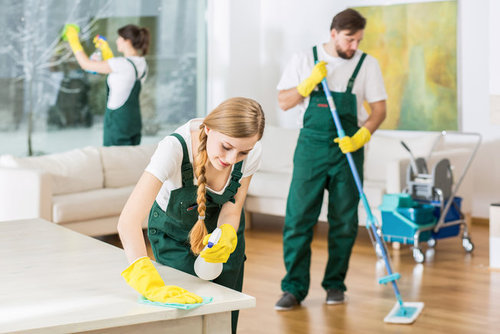 Housekeeping Services In Delhi